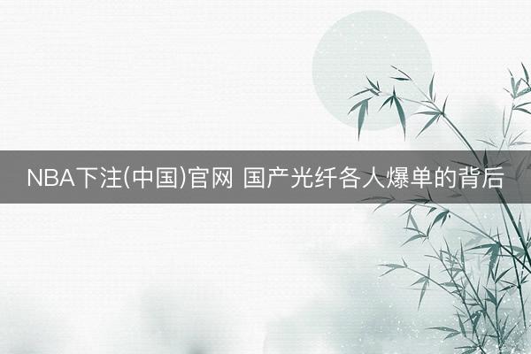 NBA下注(中国)官网 国产光纤各人爆单的背后