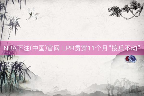 NBA下注(中国)官网 LPR贯穿11个月“按兵不动”