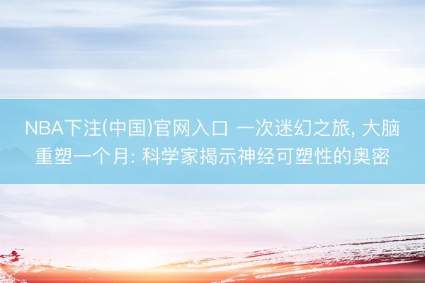 NBA下注(中国)官网入口 一次迷幻之旅， 大脑重塑一个月: 科学家揭示神经可塑性的奥密