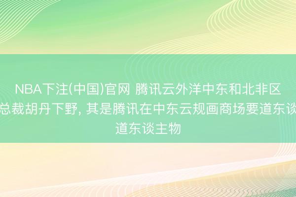 NBA下注(中国)官网 腾讯云外洋中东和北非区域副总裁胡丹下野， 其是腾讯在中东云规画商场要道东谈主物