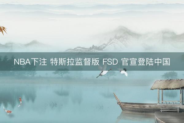 NBA下注 特斯拉监督版 FSD 官宣登陆中国