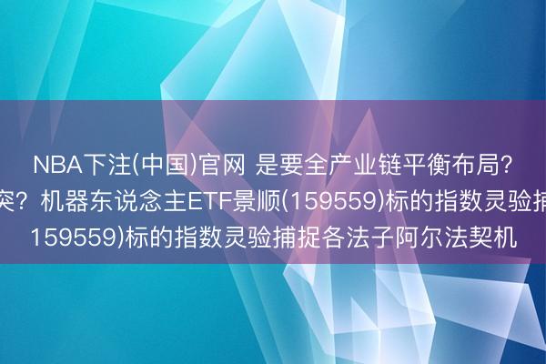 NBA下注(中国)官网 是要全产业链平衡布局？也曾单点高度靠拢冲突？机器东说念主ETF景顺(159559)标的指数灵验捕捉各法子阿尔法契机
