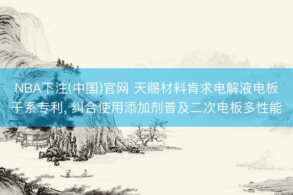 NBA下注(中国)官网 天赐材料肯求电解液电板干系专利， 纠合使用添加剂普及二次电板多性能