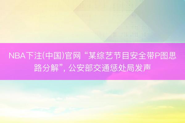 NBA下注(中国)官网 “某综艺节目安全带P图思路分解”， 公安部交通惩处局发声