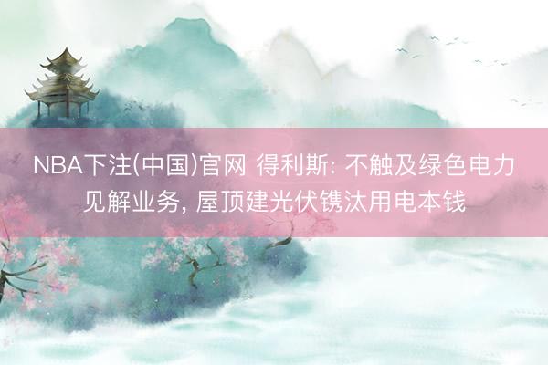 NBA下注(中国)官网 得利斯: 不触及绿色电力见解业务, 屋顶建光伏镌汰用电本钱