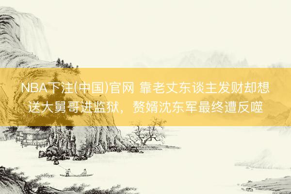 NBA下注(中国)官网 靠老丈东谈主发财却想送大舅哥进监狱，赘婿沈东军最终遭反噬
