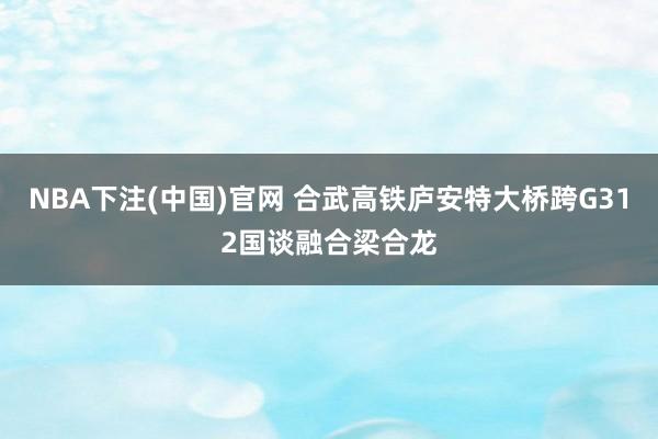 NBA下注(中国)官网 合武高铁庐安特大桥跨G312国谈融合梁合龙