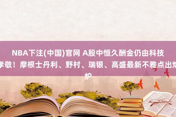 NBA下注(中国)官网 A股中恒久酬金仍由科技孝敬！摩根士丹利、野村、瑞银、高盛最新不雅点出炉
